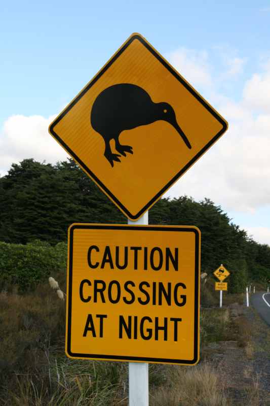 Nieuw-Zeeland 2011 - 0885